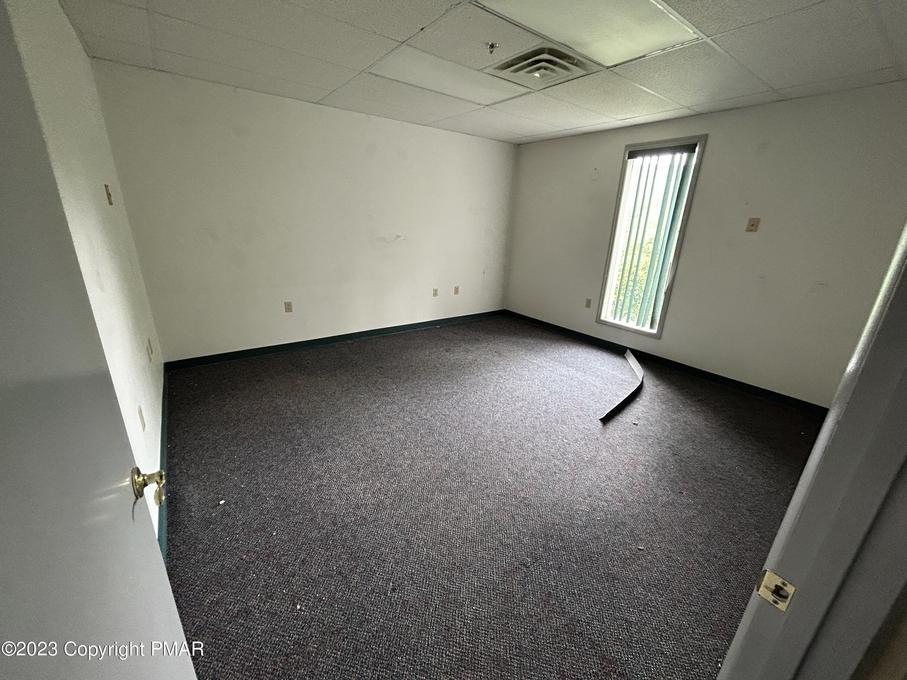 117 Rose Street Property Photo 21