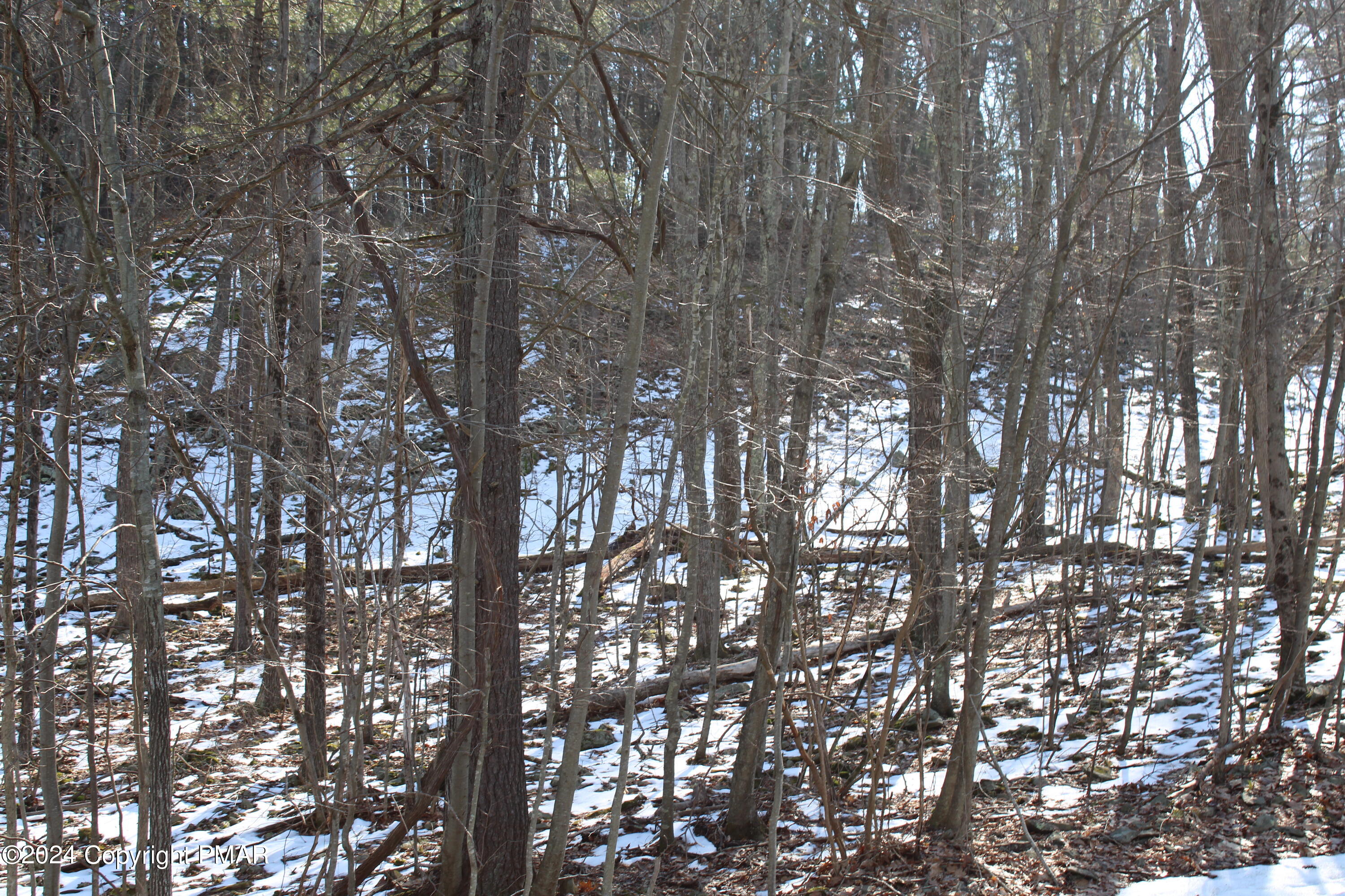 Deer Path Path Property Photo 1