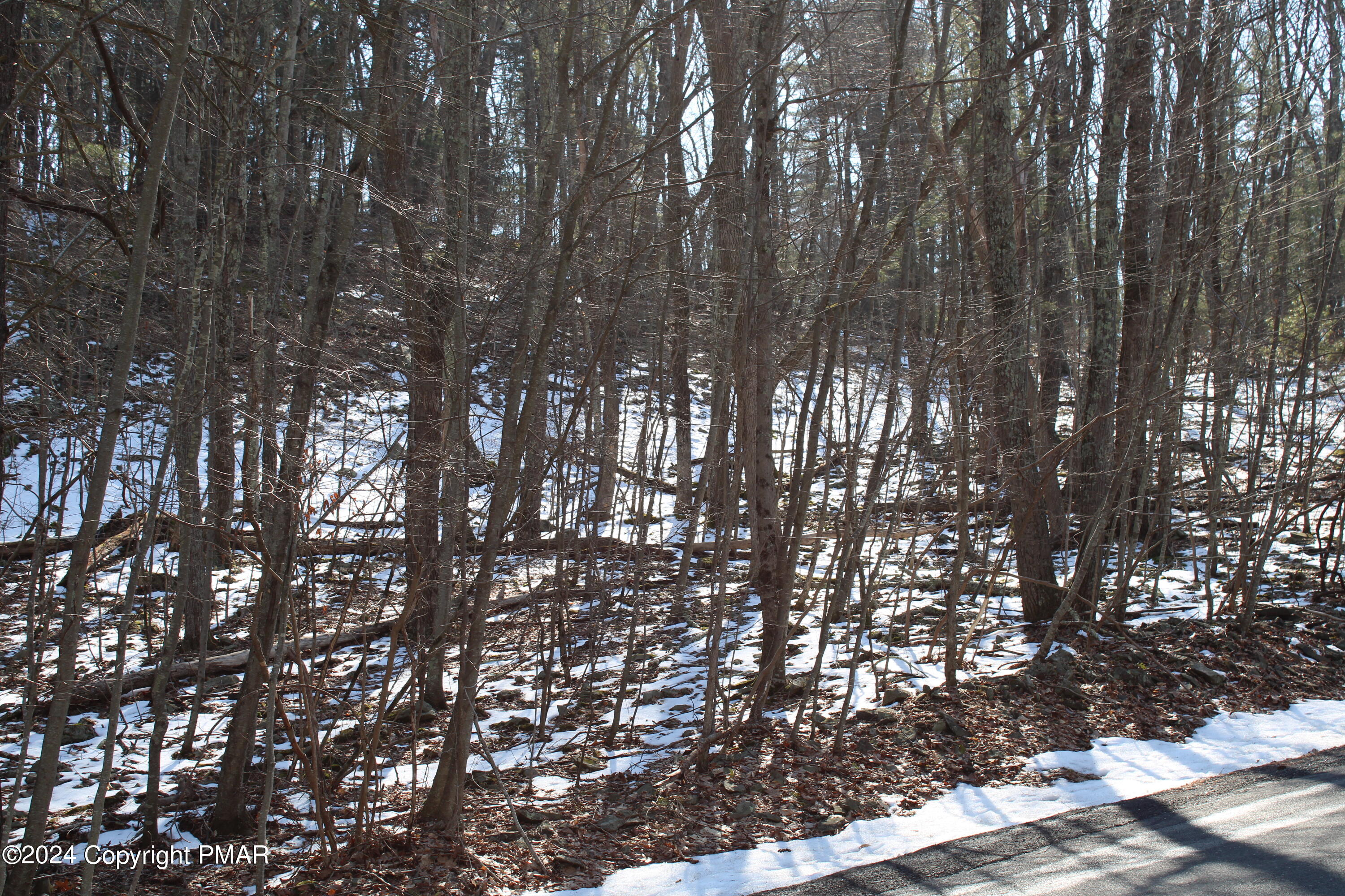 Deer Path Path Property Photo 2