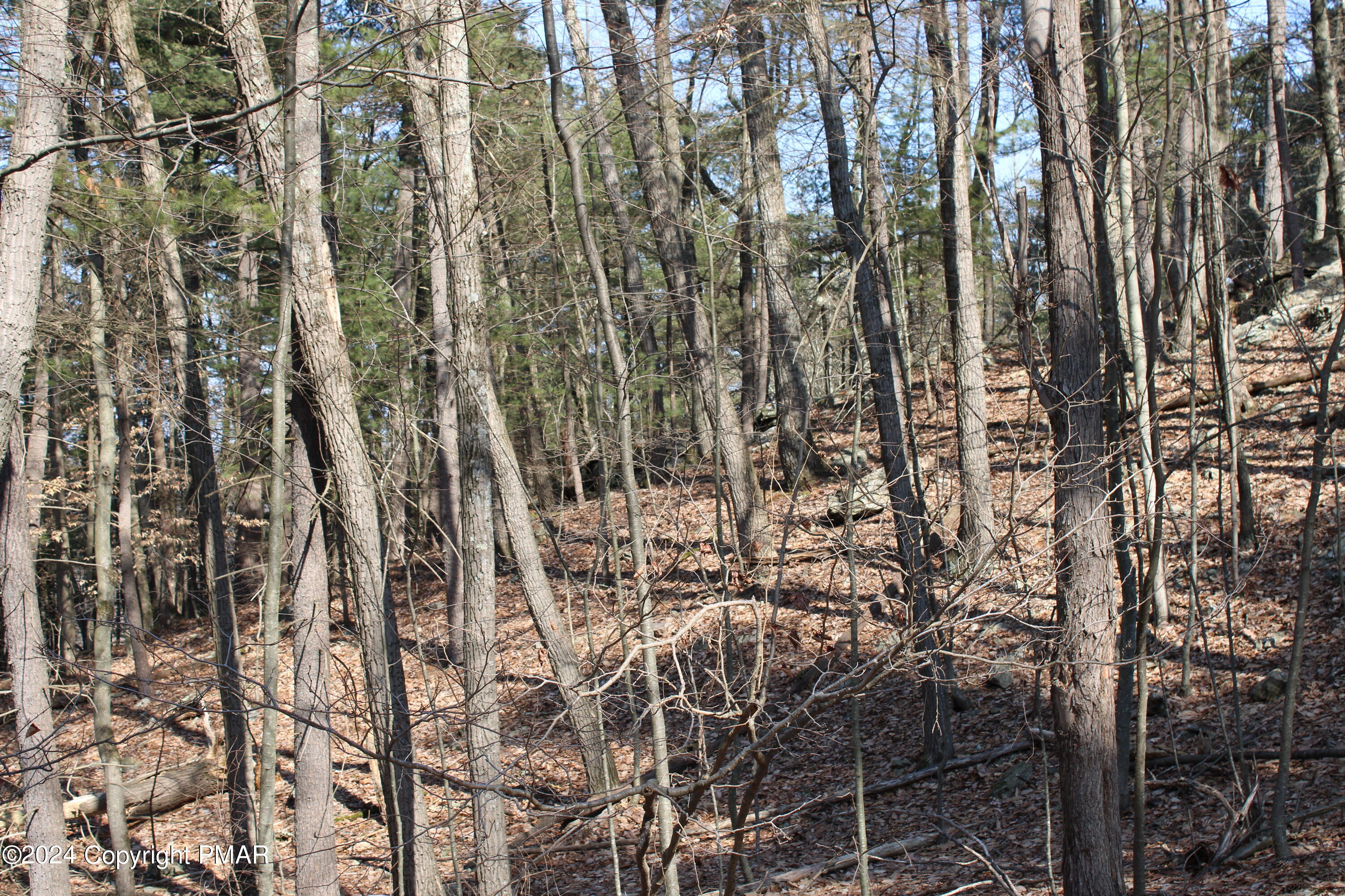 Deer Path Path Property Photo 3