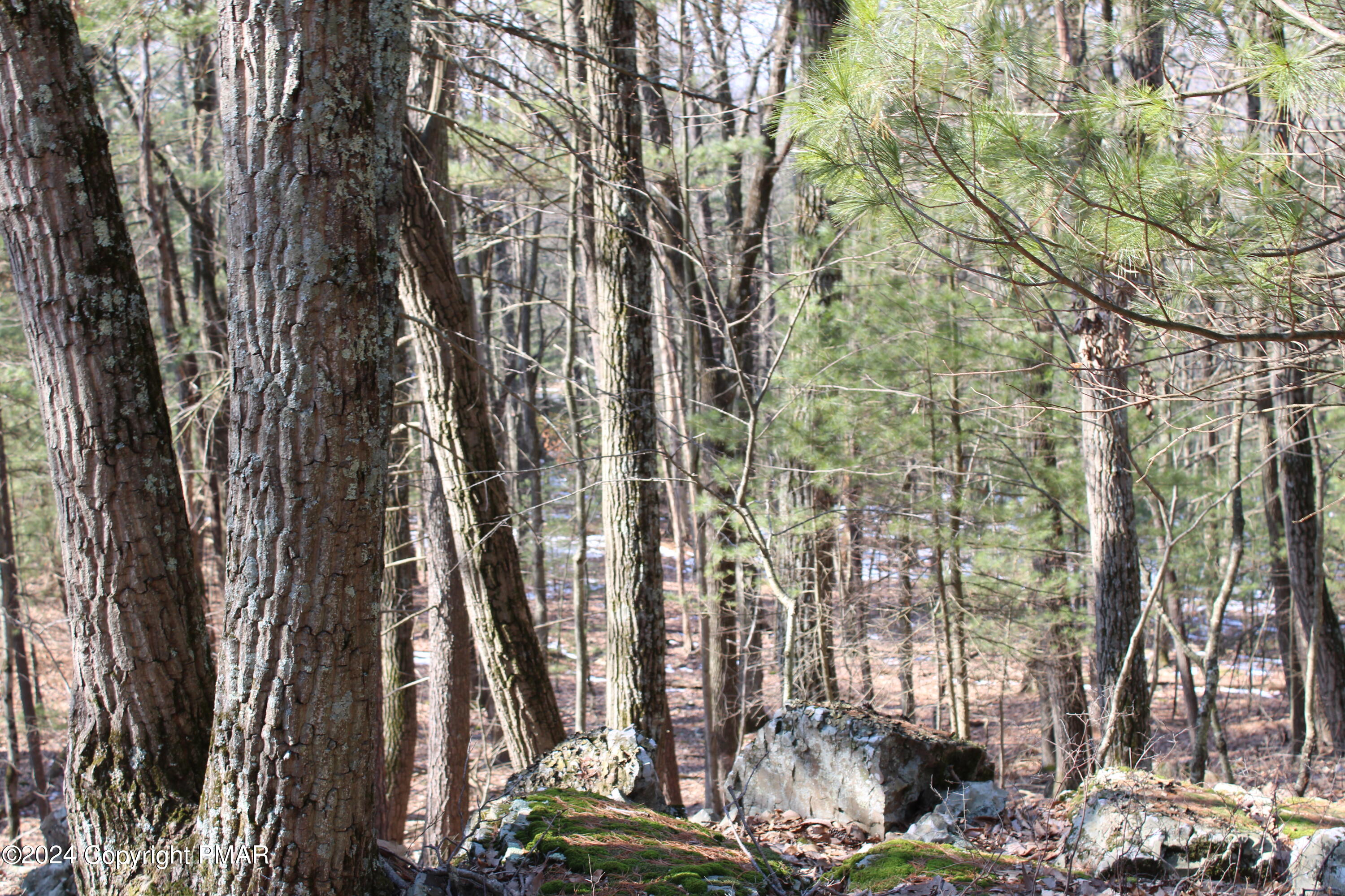 Deer Path Path Property Photo 5