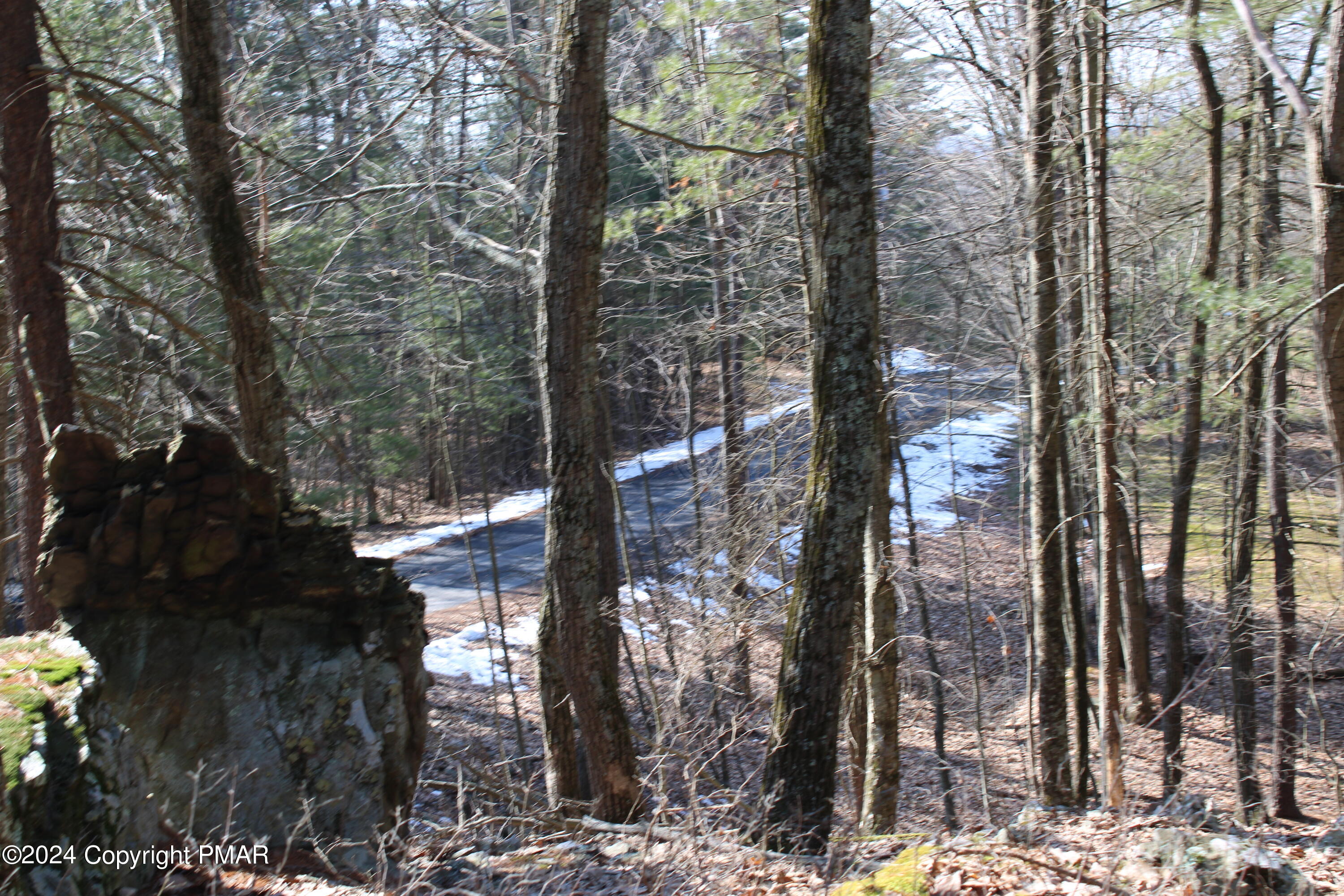 Deer Path Path Property Photo 6