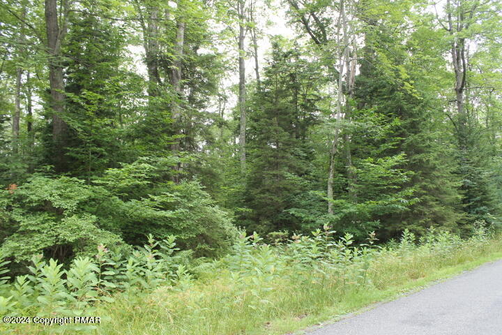 517 E Forest Road Property Photo 1