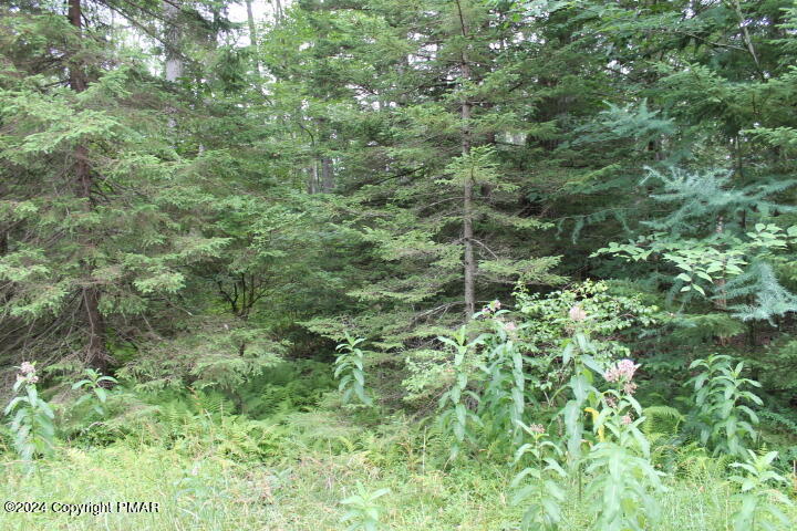 517 E Forest Road Property Photo 5