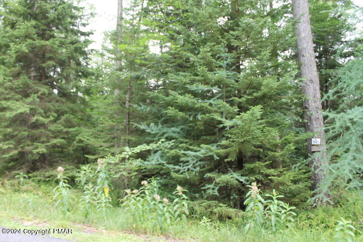 517 E Forest Road Property Photo 6