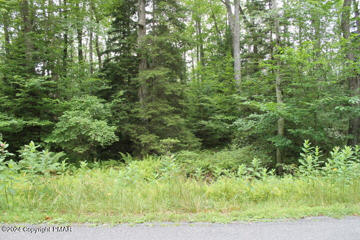 517 E Forest Road Property Photo 7