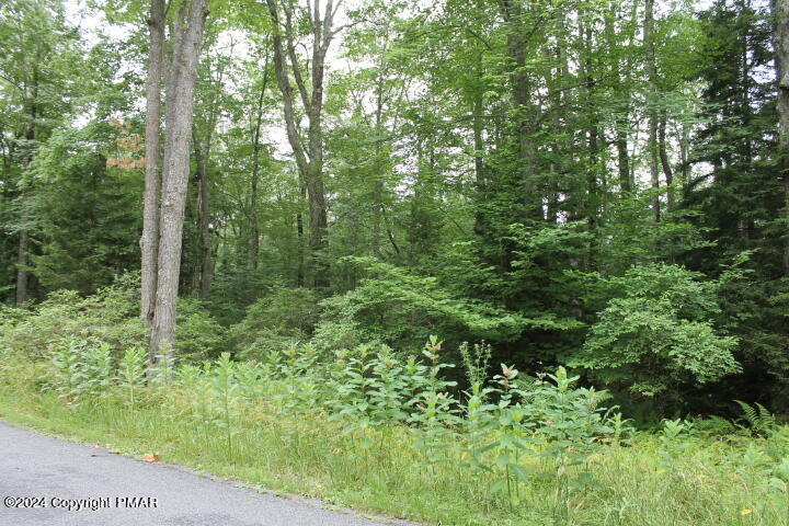 517 E Forest Road Property Photo 8