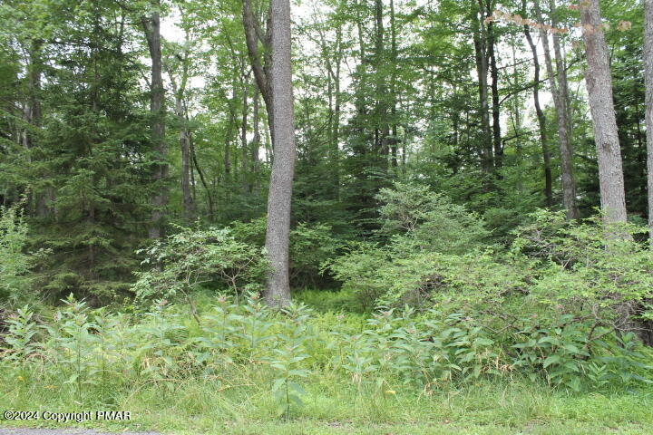 517 E Forest Road Property Photo 9