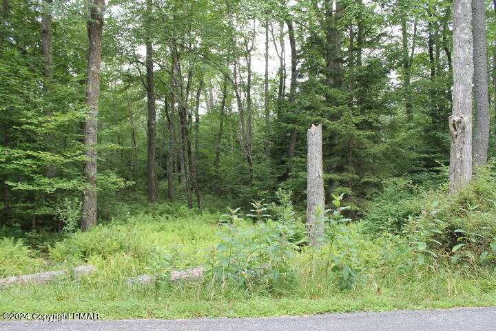 517 E Forest Road Property Photo 10