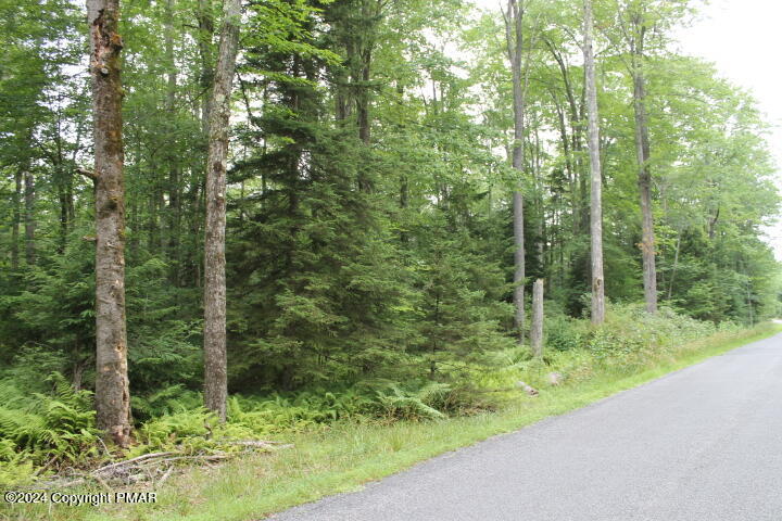 517 E Forest Road Property Photo 11