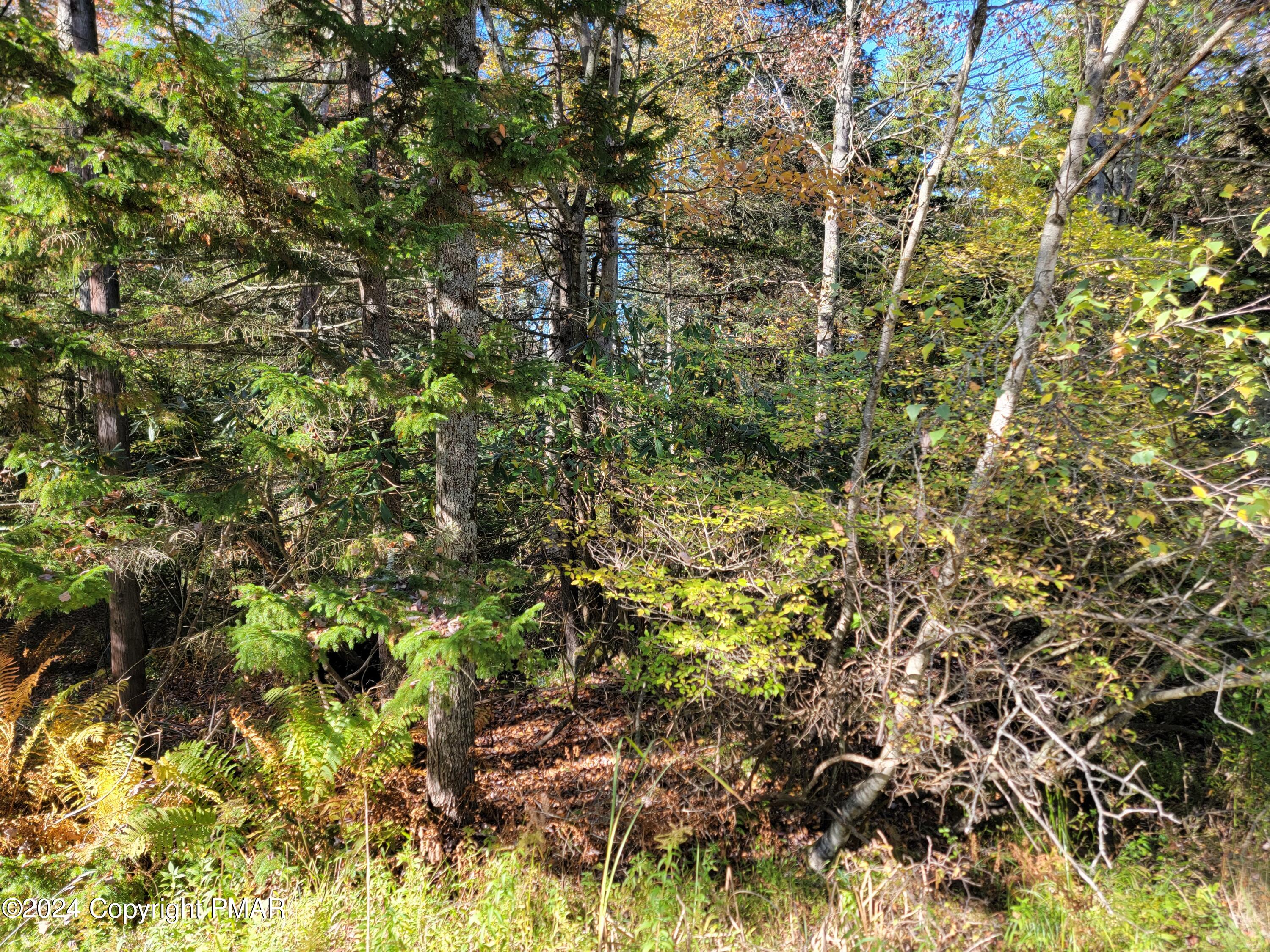 Lot 18& 19 Louis Lane Property Photo 1