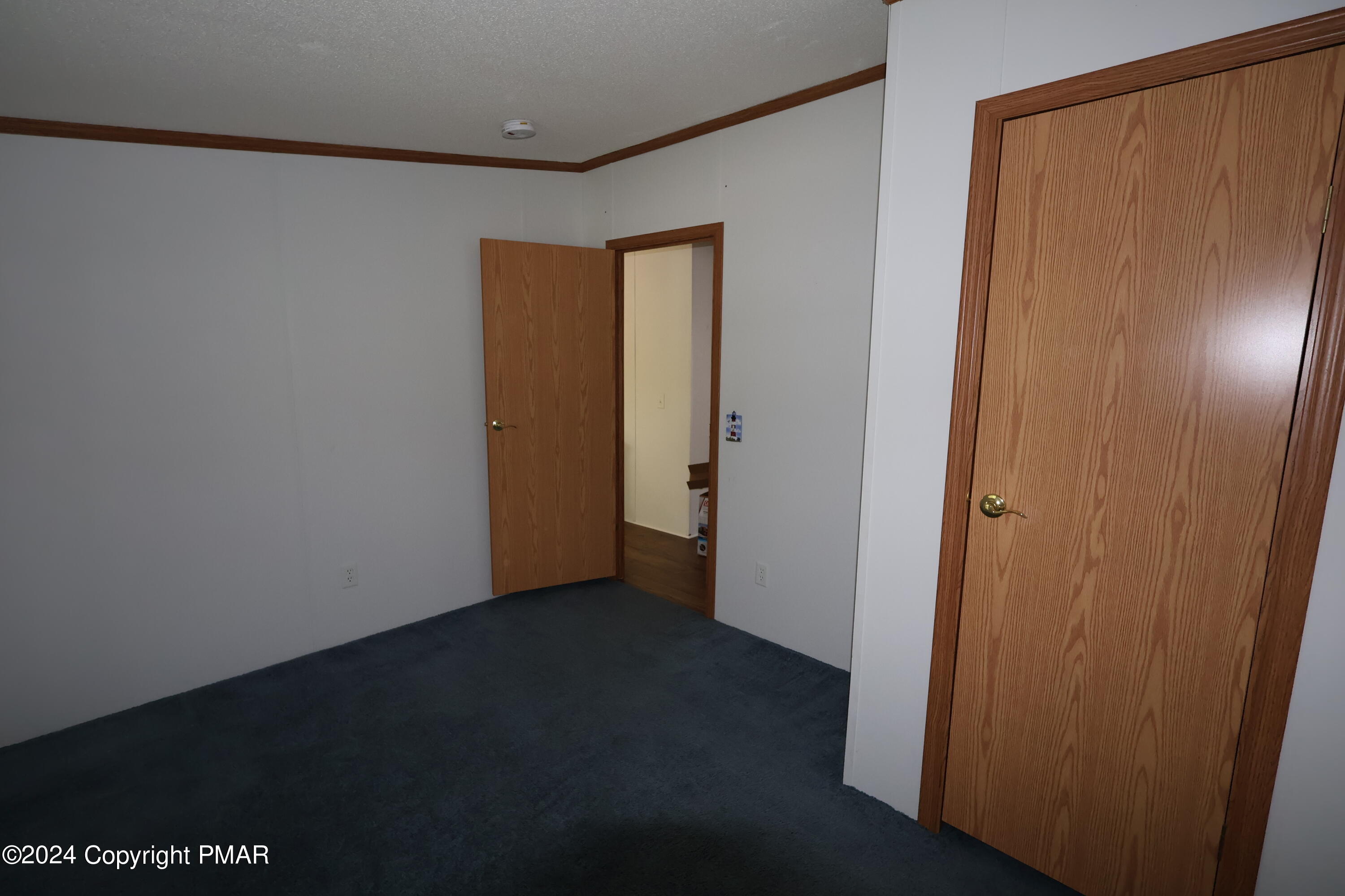 1310 Blue Mountain Circle Property Photo 16