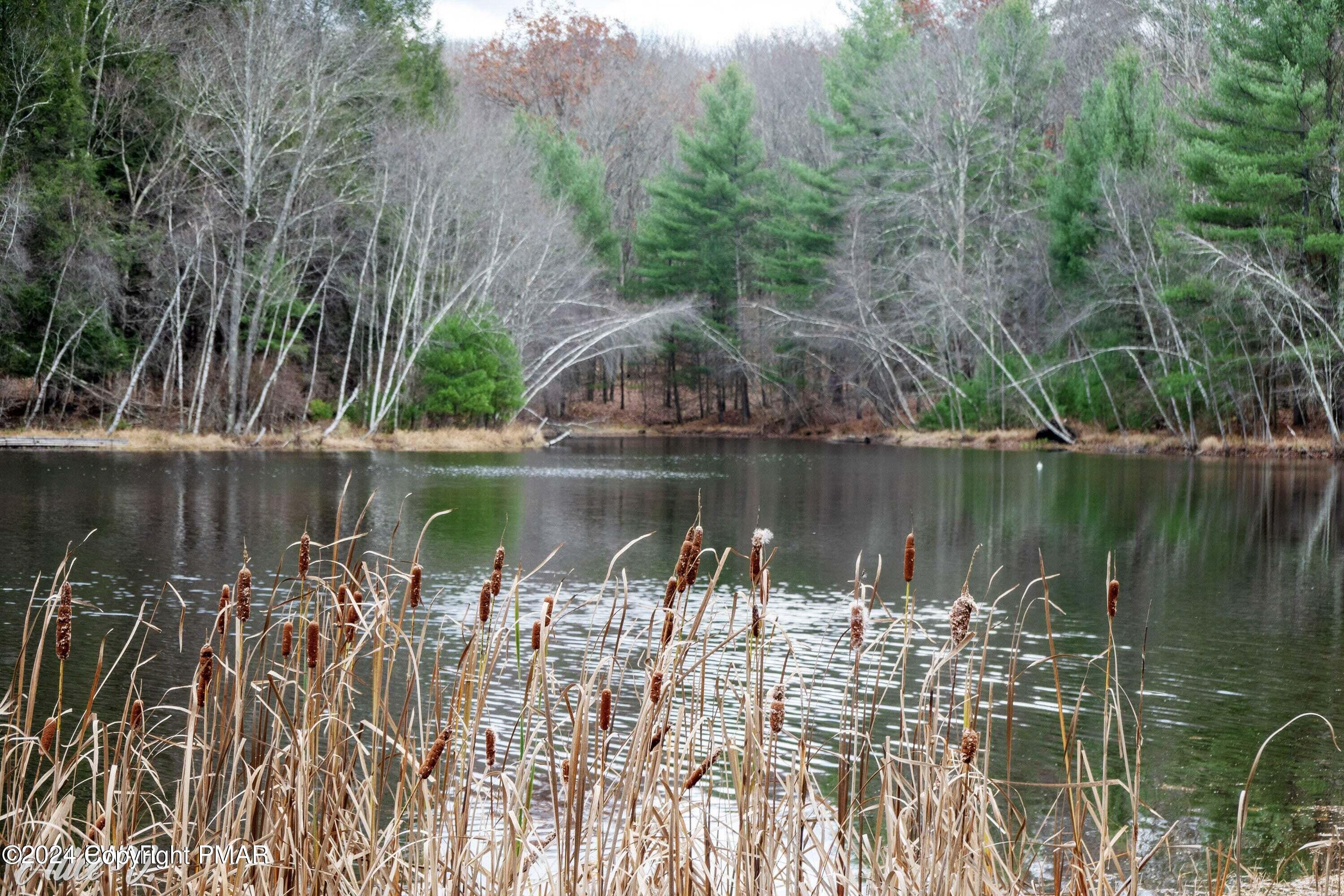 Hidden Hollow Property Photo 11