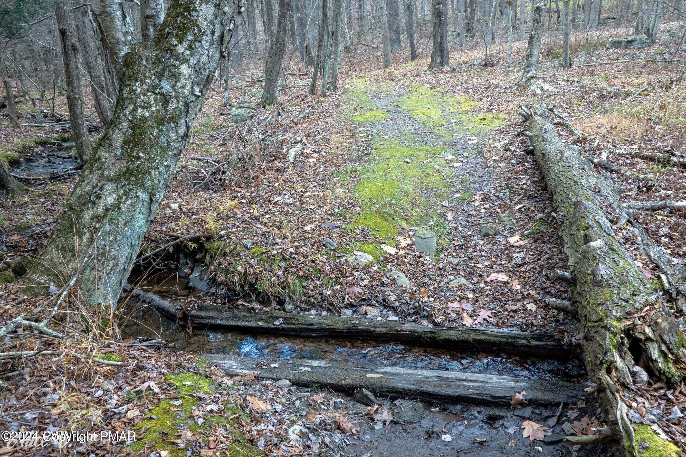Hidden Hollow Property Photo 14