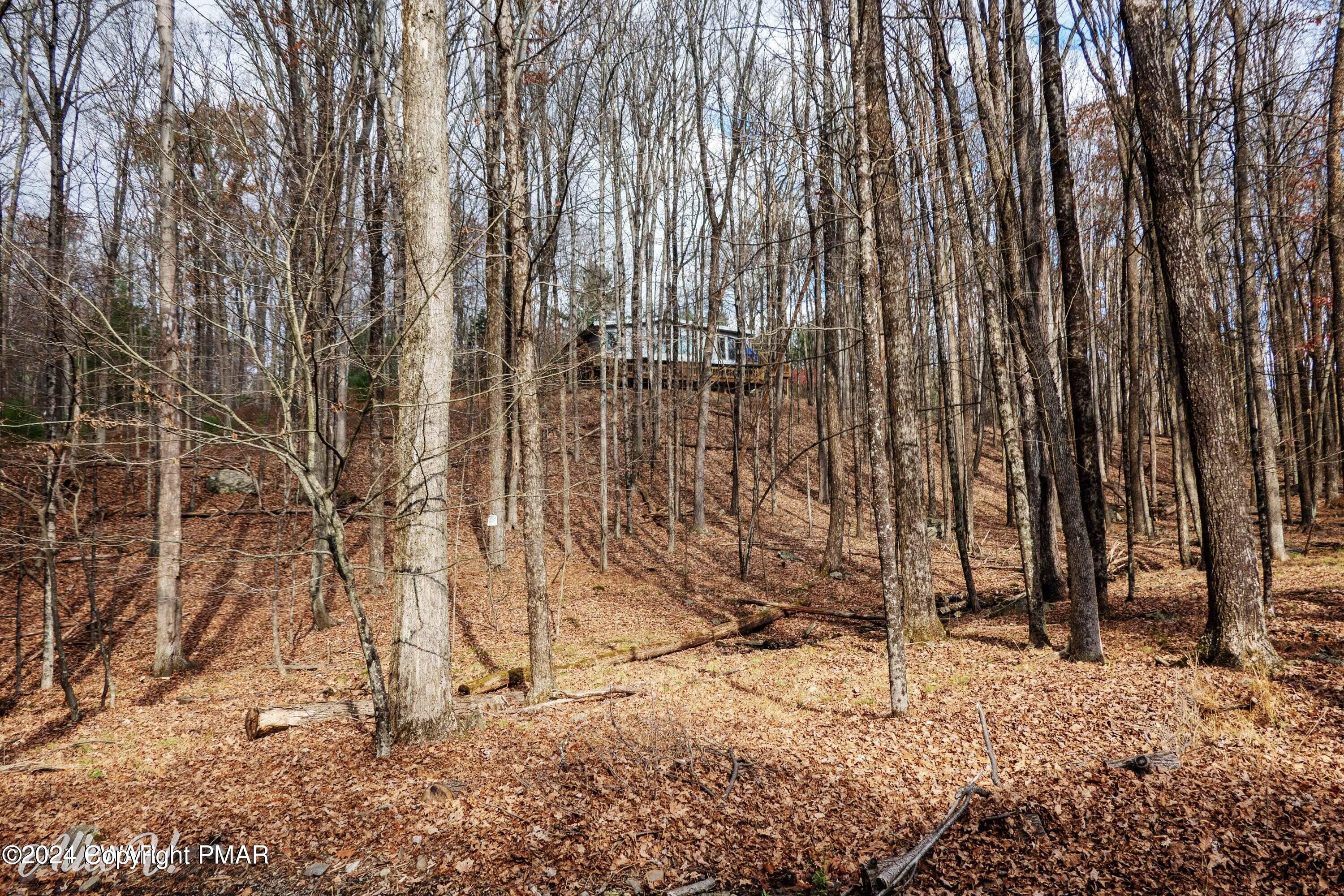 Hidden Hollow Property Photo 17