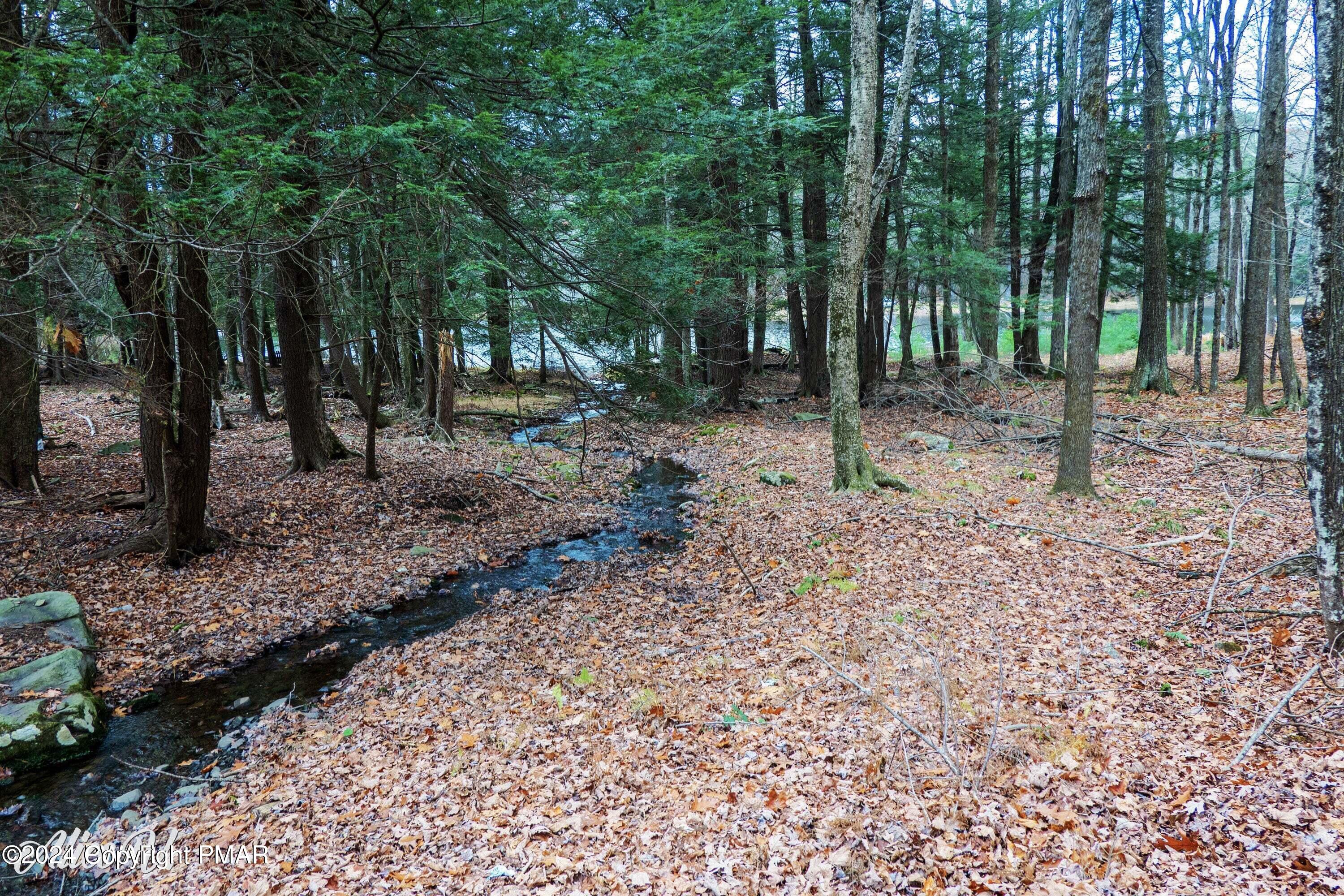 Hidden Hollow Property Photo 20
