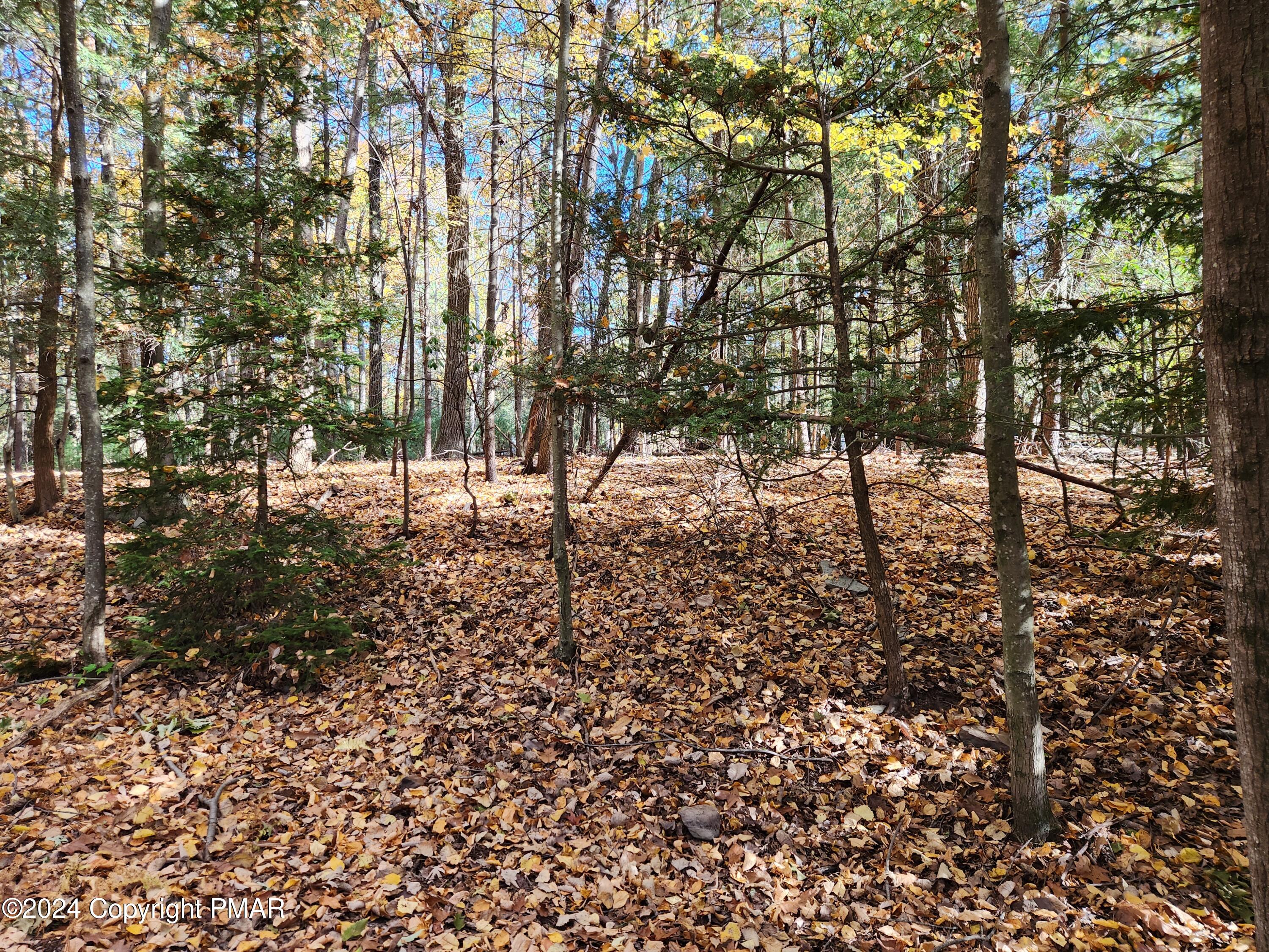 Lot 25 Mongul Circle Property Photo 1