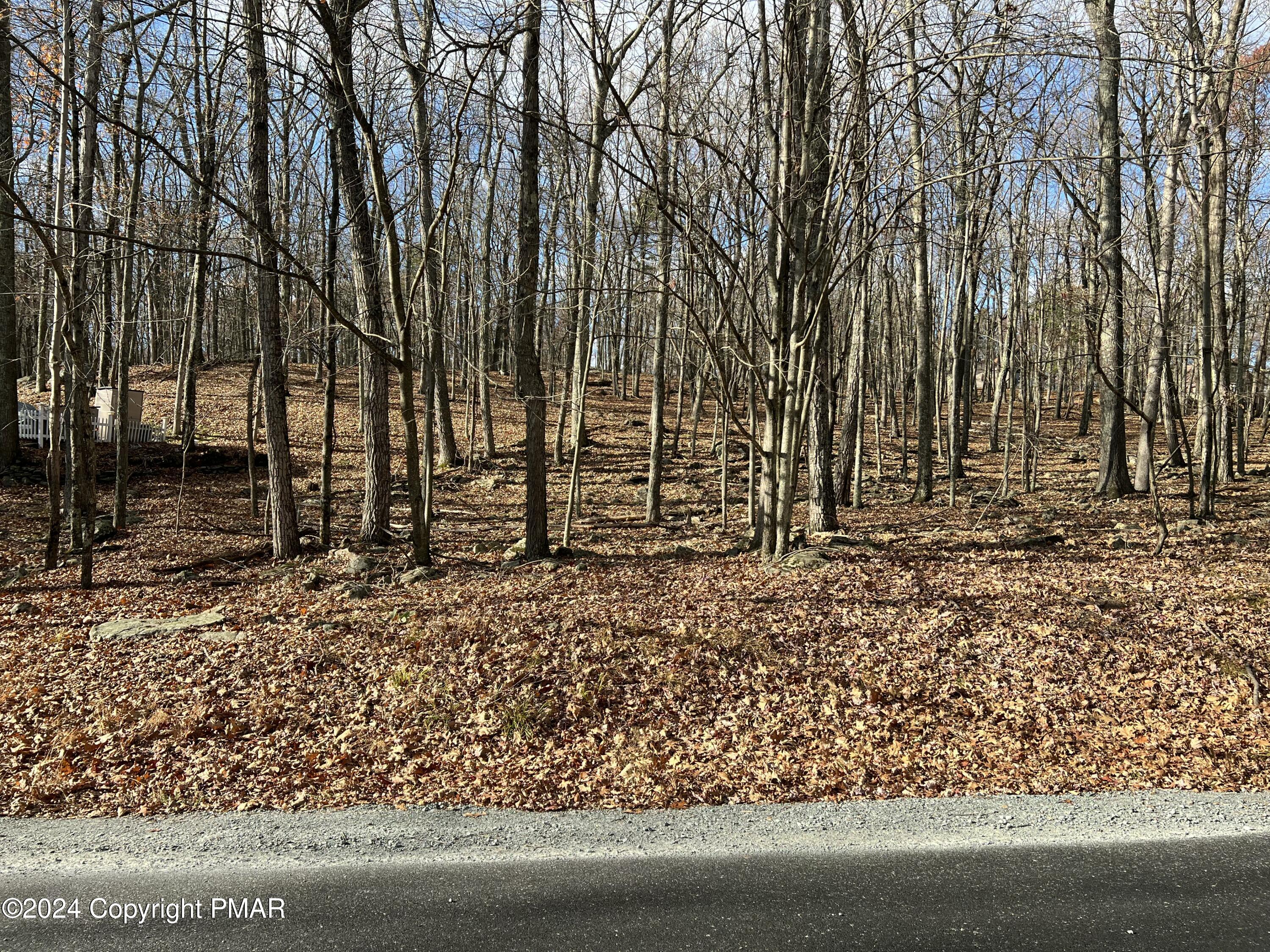 229 Forest Ridge Drive Property Photo 1