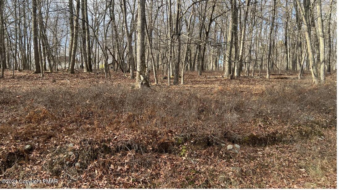 Lot 288 Doe Loop Property Photo 1