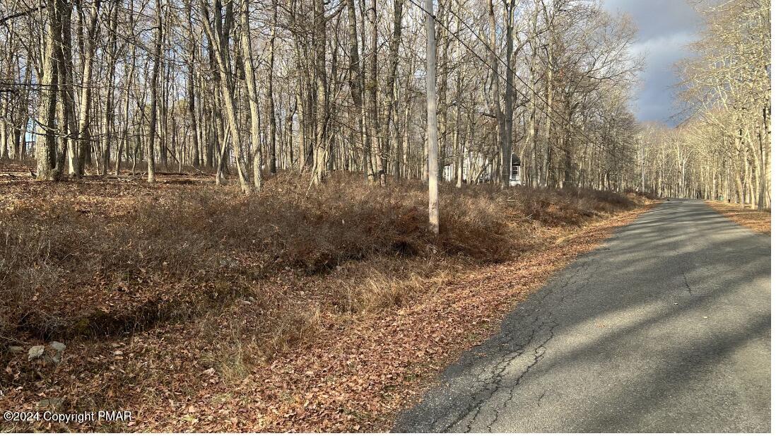 Lot 288 Doe Loop Property Photo 3