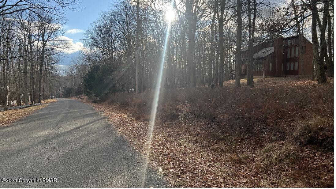 Lot 288 Doe Loop Property Photo 4