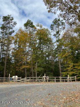 Lot 288 Doe Loop Property Photo 8