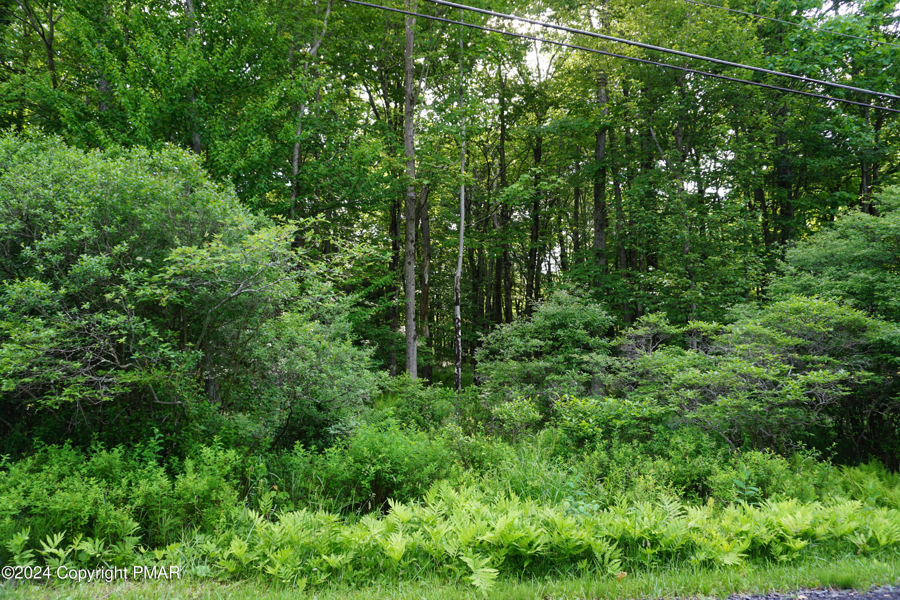 Wagner Way Property Photo 1