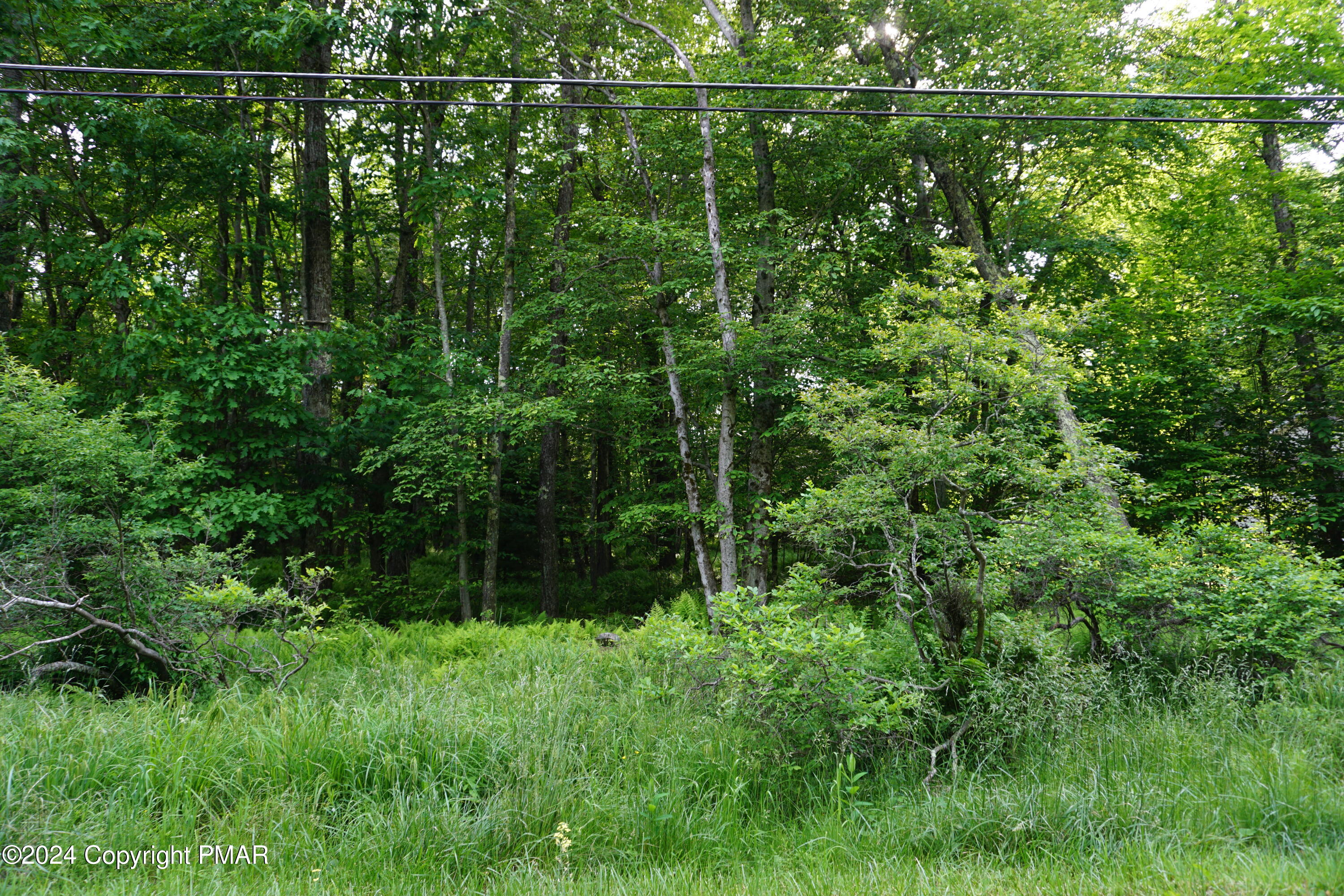 Wagner Way Property Photo 2