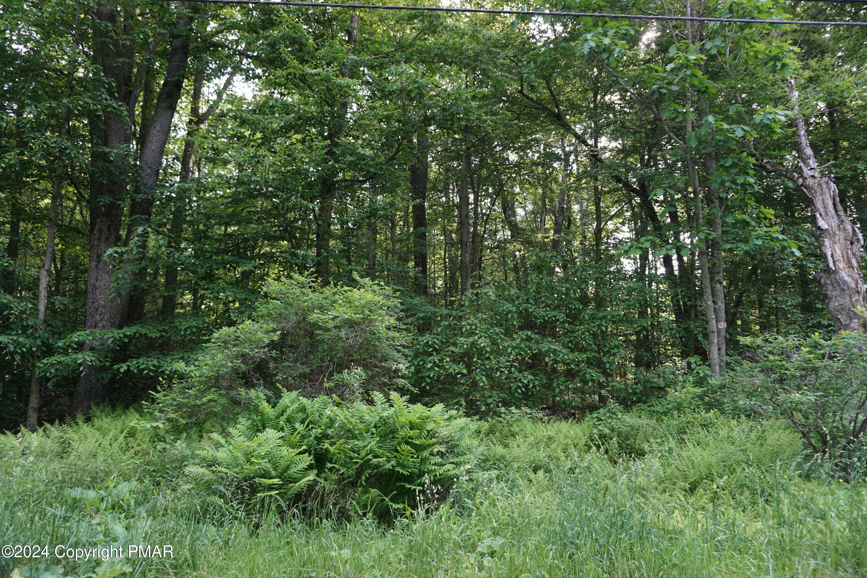 Wagner Way Property Photo 3