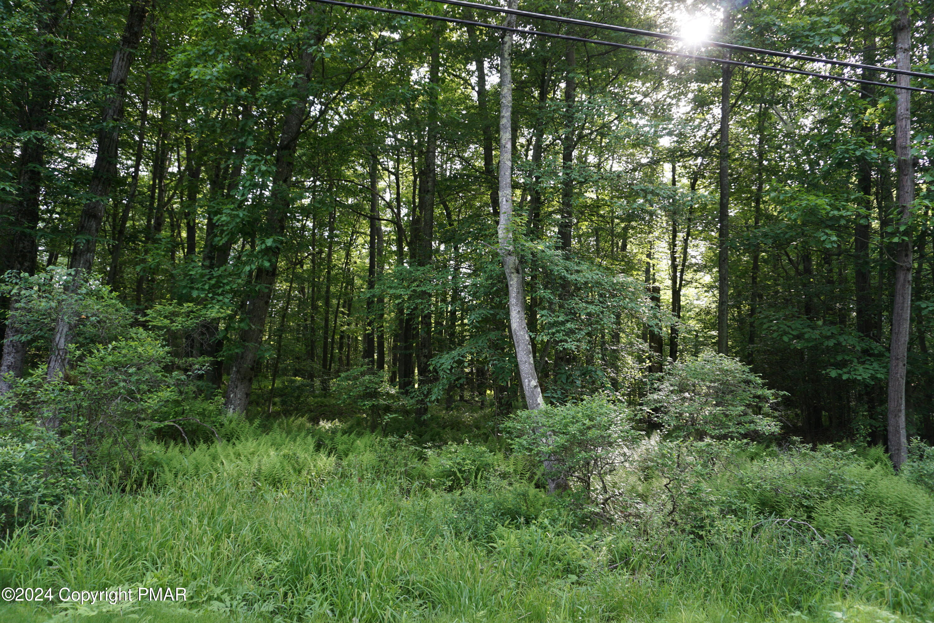 Wagner Way Property Photo 4