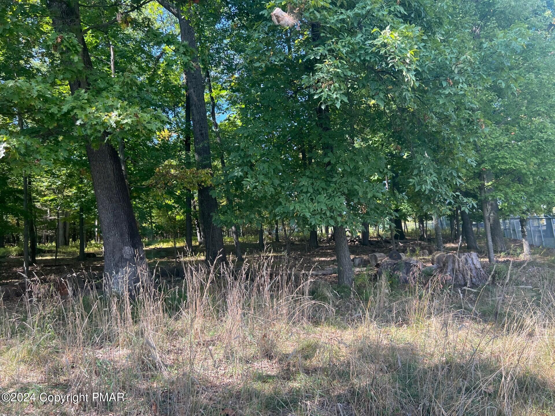 Werkheiser Lane Property Photo 4
