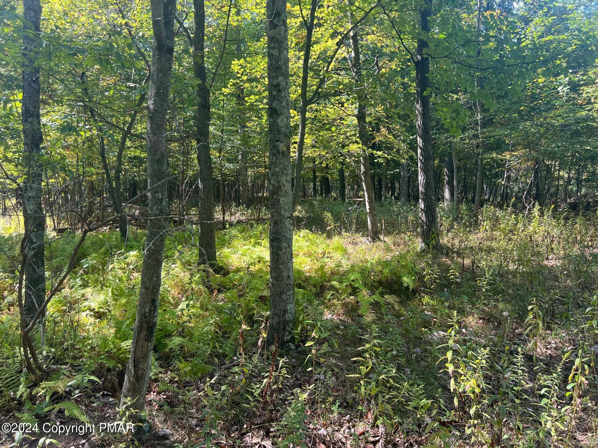 Werkheiser Lane Property Photo 1