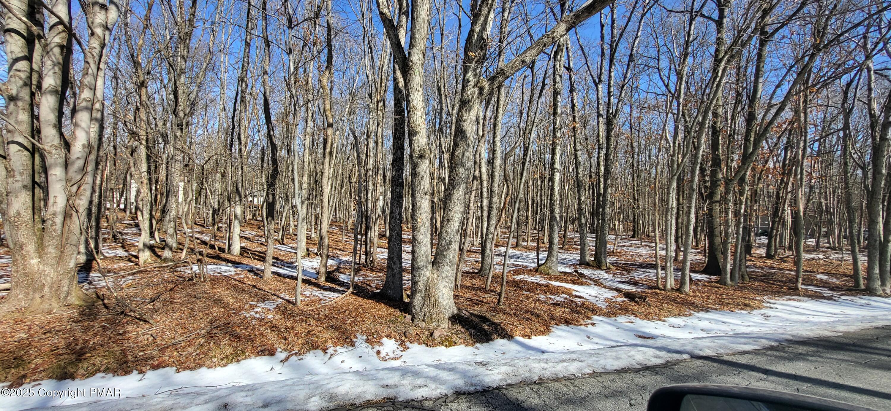 Mohawk Trail Property Photo 1