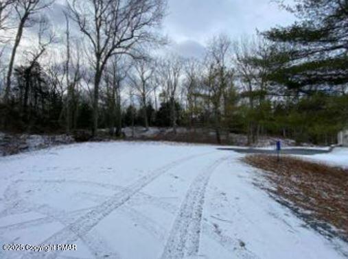 Lot 534 Weasel Road Property Photo 1