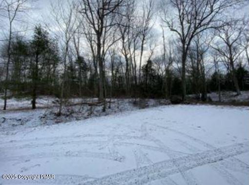 Lot 534 Weasel Road Property Photo 2