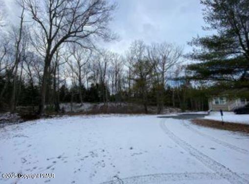 Lot 534 Weasel Road Property Photo 3
