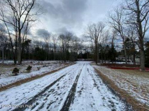 Lot 534 Weasel Road Property Photo 4