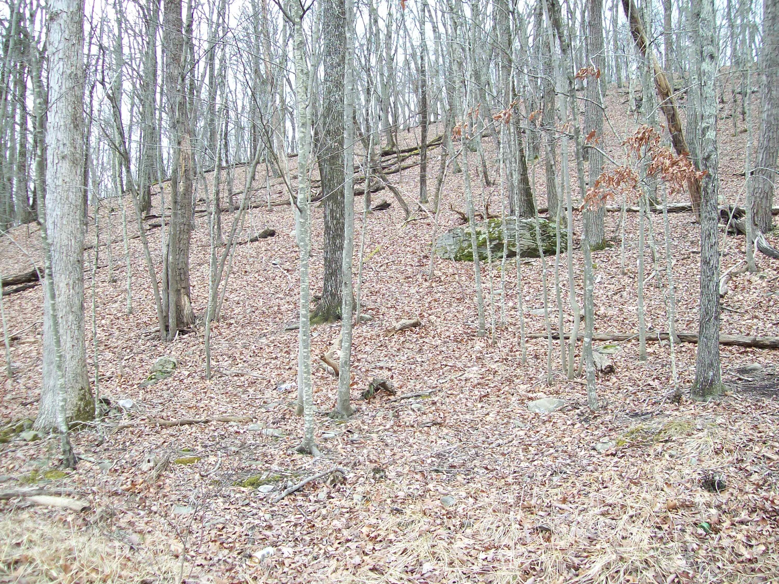 2.65 Acres Decker Rd Property Photo 1