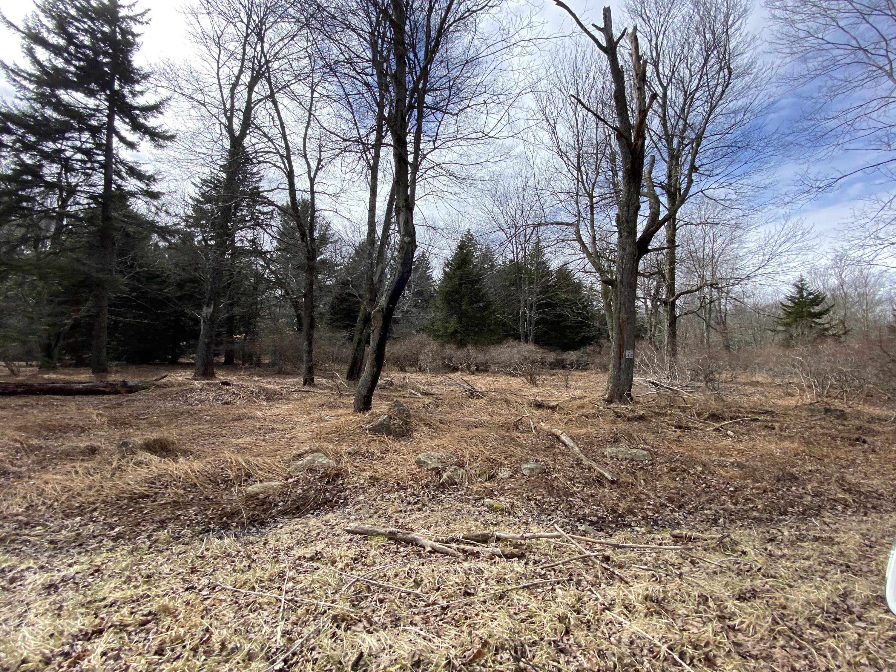 905 Wadi Road W Property Photo 1