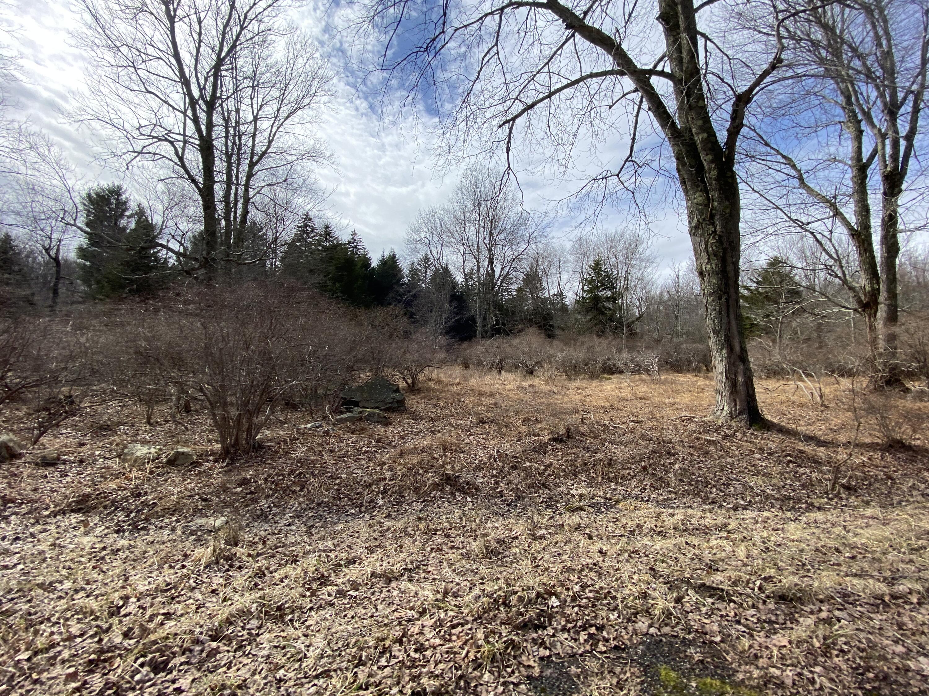 906 Wadi Road W Property Photo 1