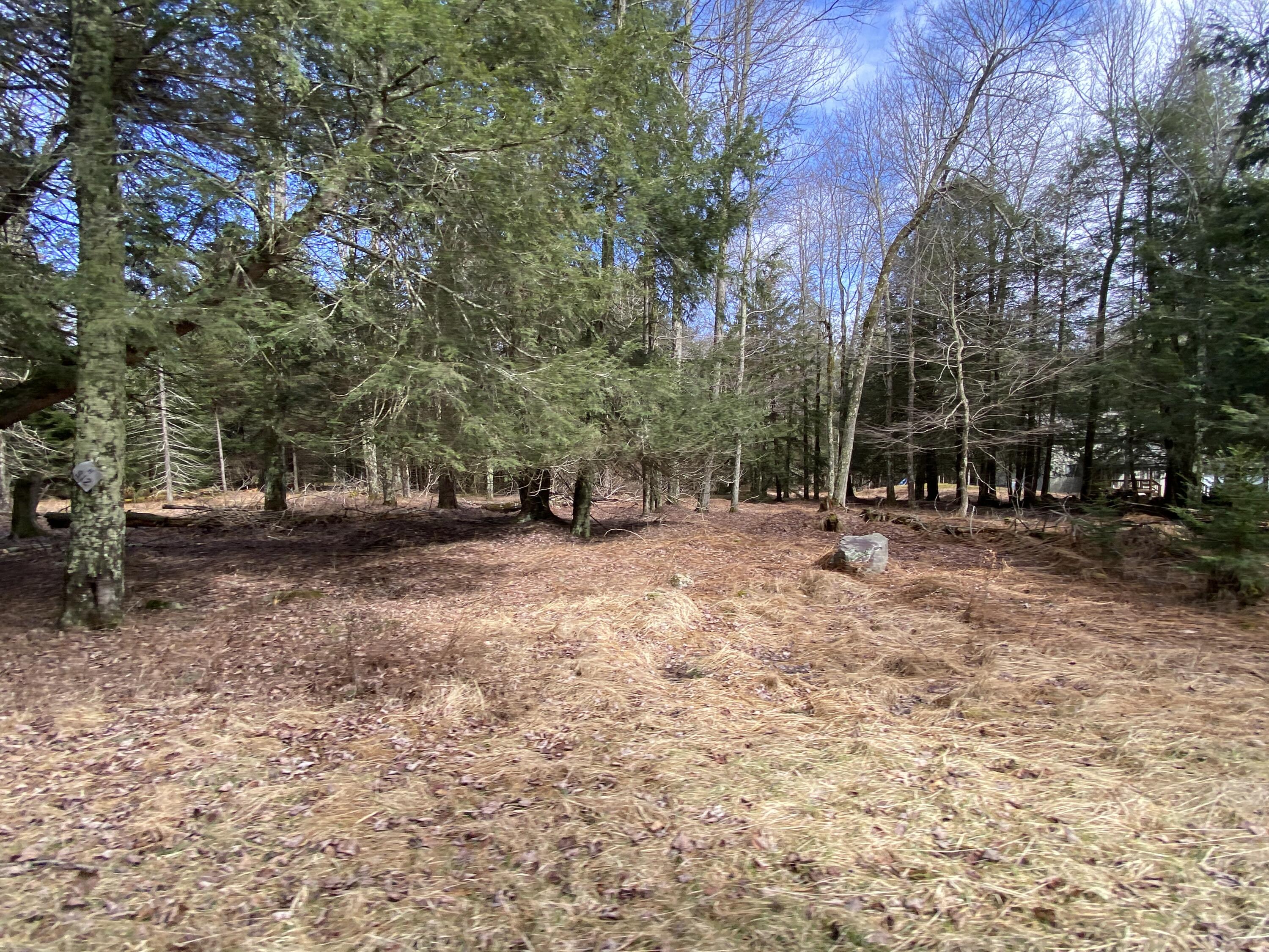 1024 W Wadi Road W Property Photo 1