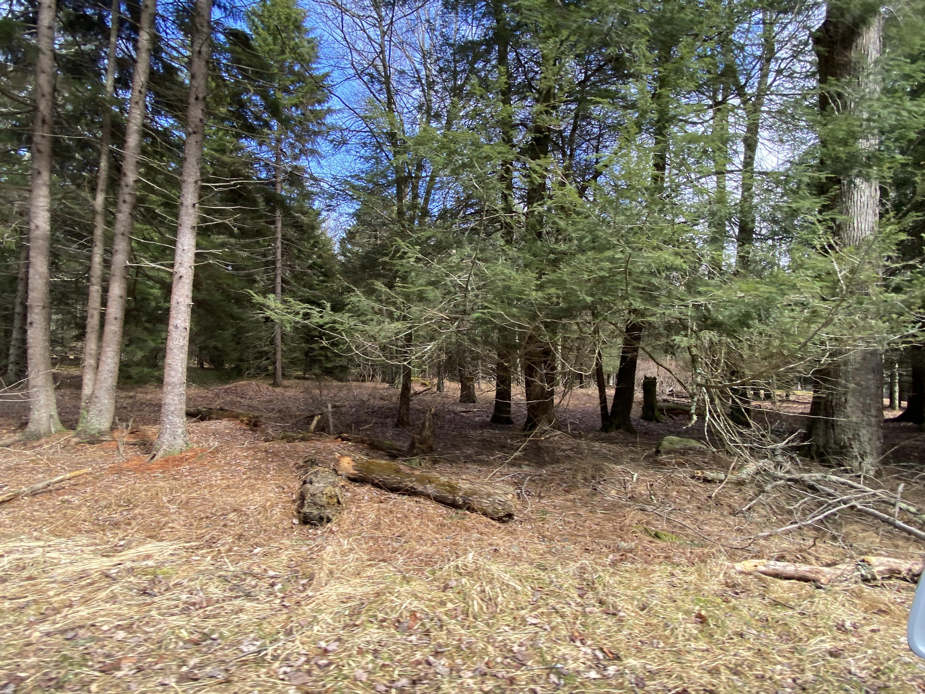 1024 W Wadi Road W Property Photo 5