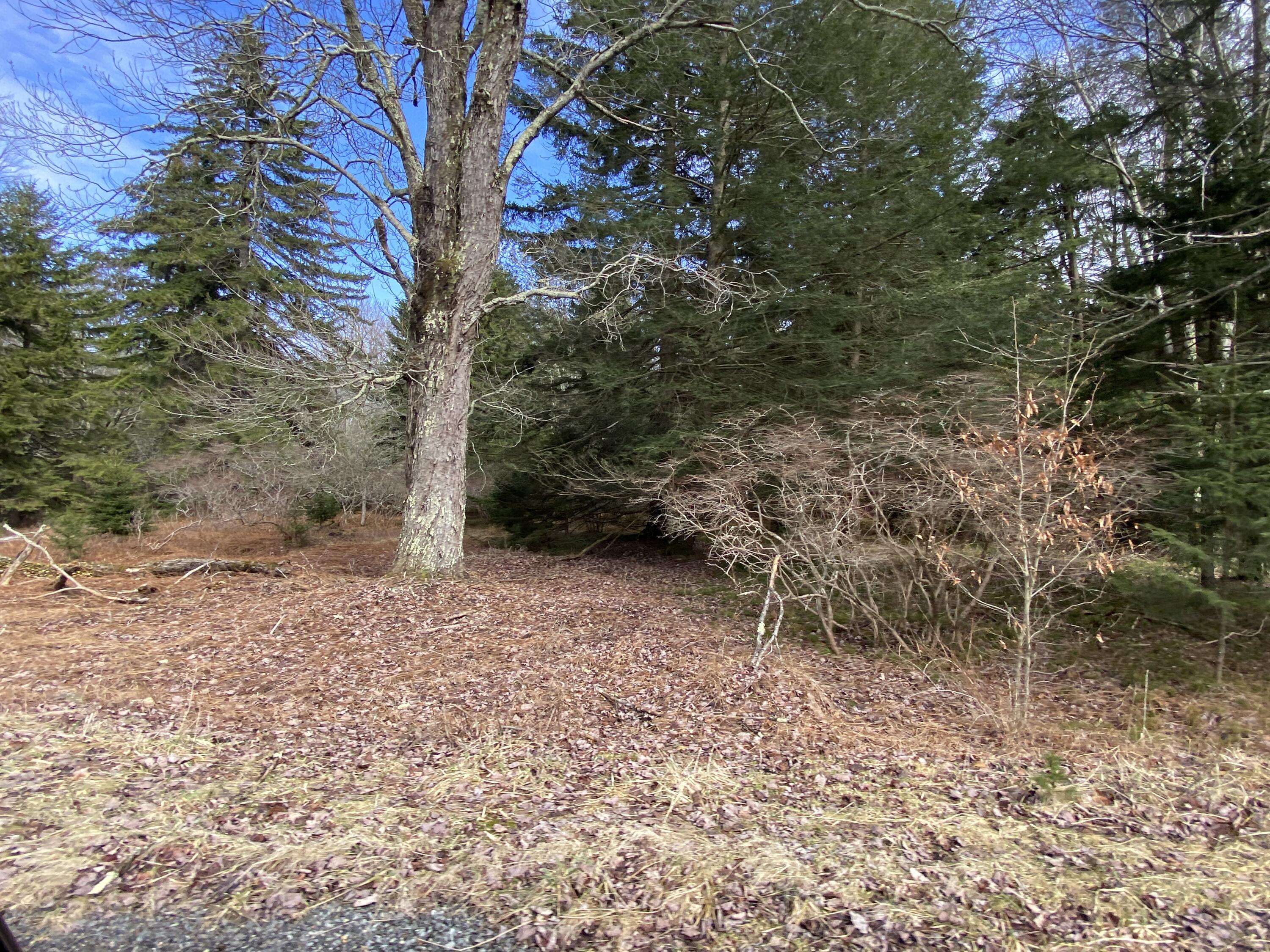1024 W Wadi Road W Property Photo 21