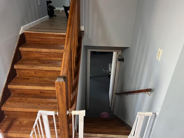 1127 Steele Circle Property Photo 11