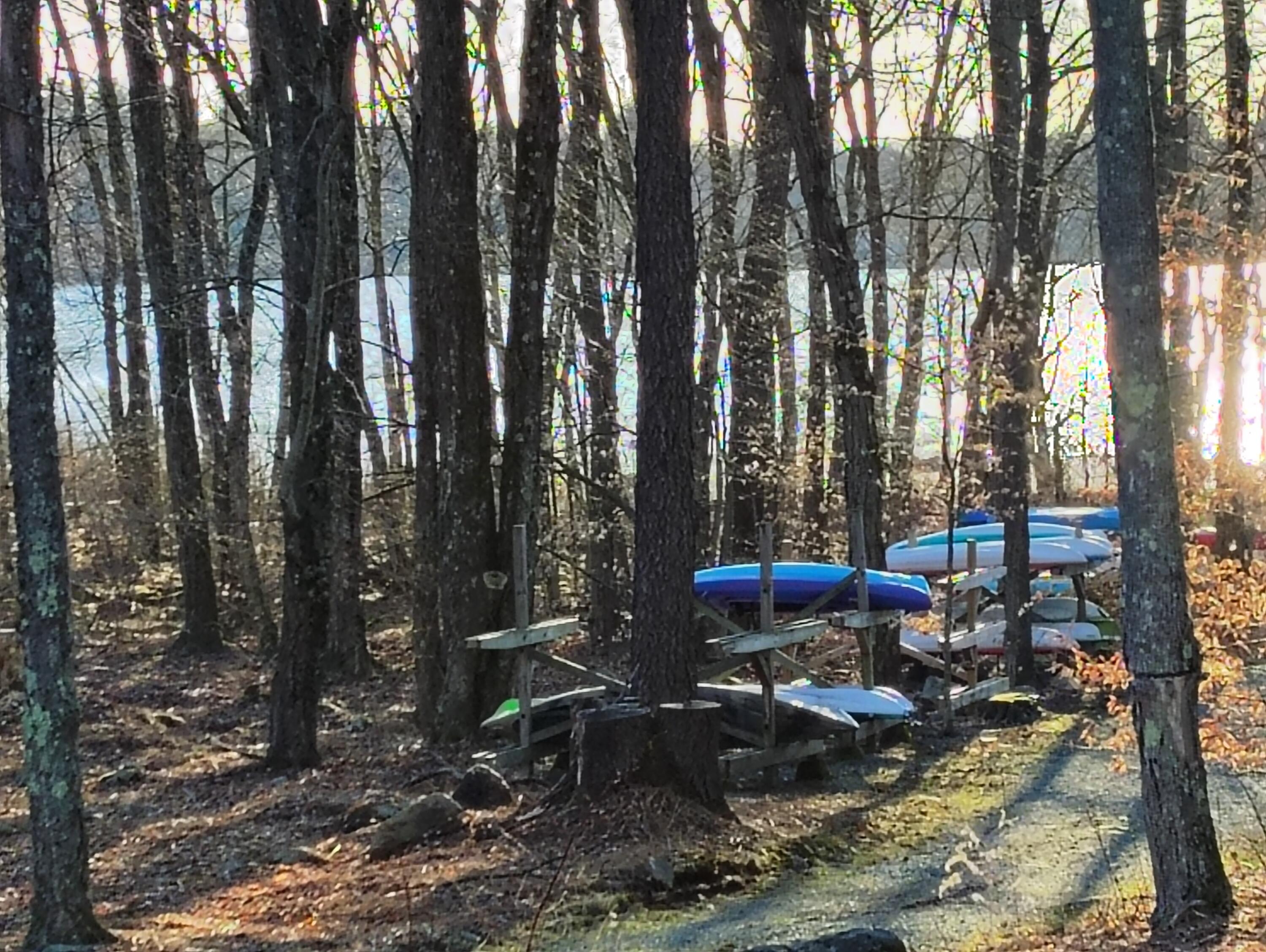 Blue Heron Court Property Photo 3