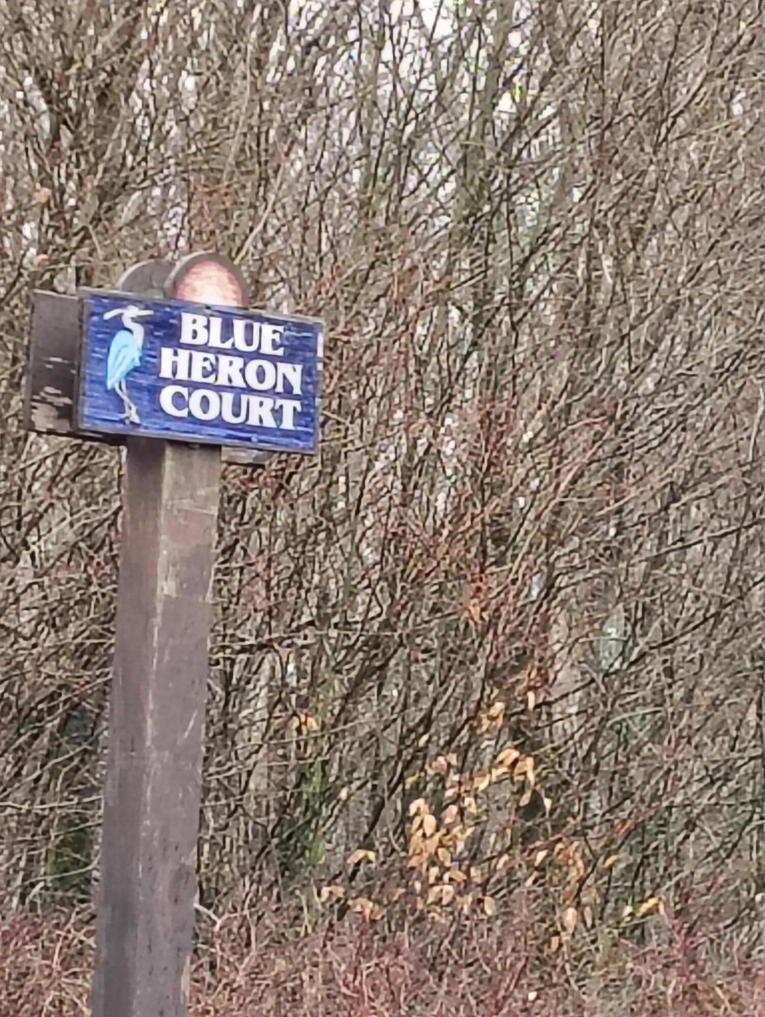 Blue Heron Court Property Photo 9