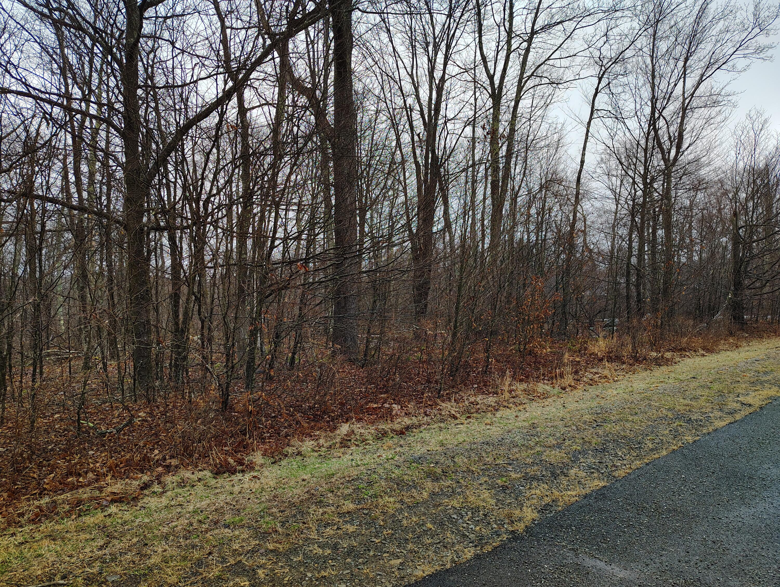 Blue Heron Court Property Photo 11