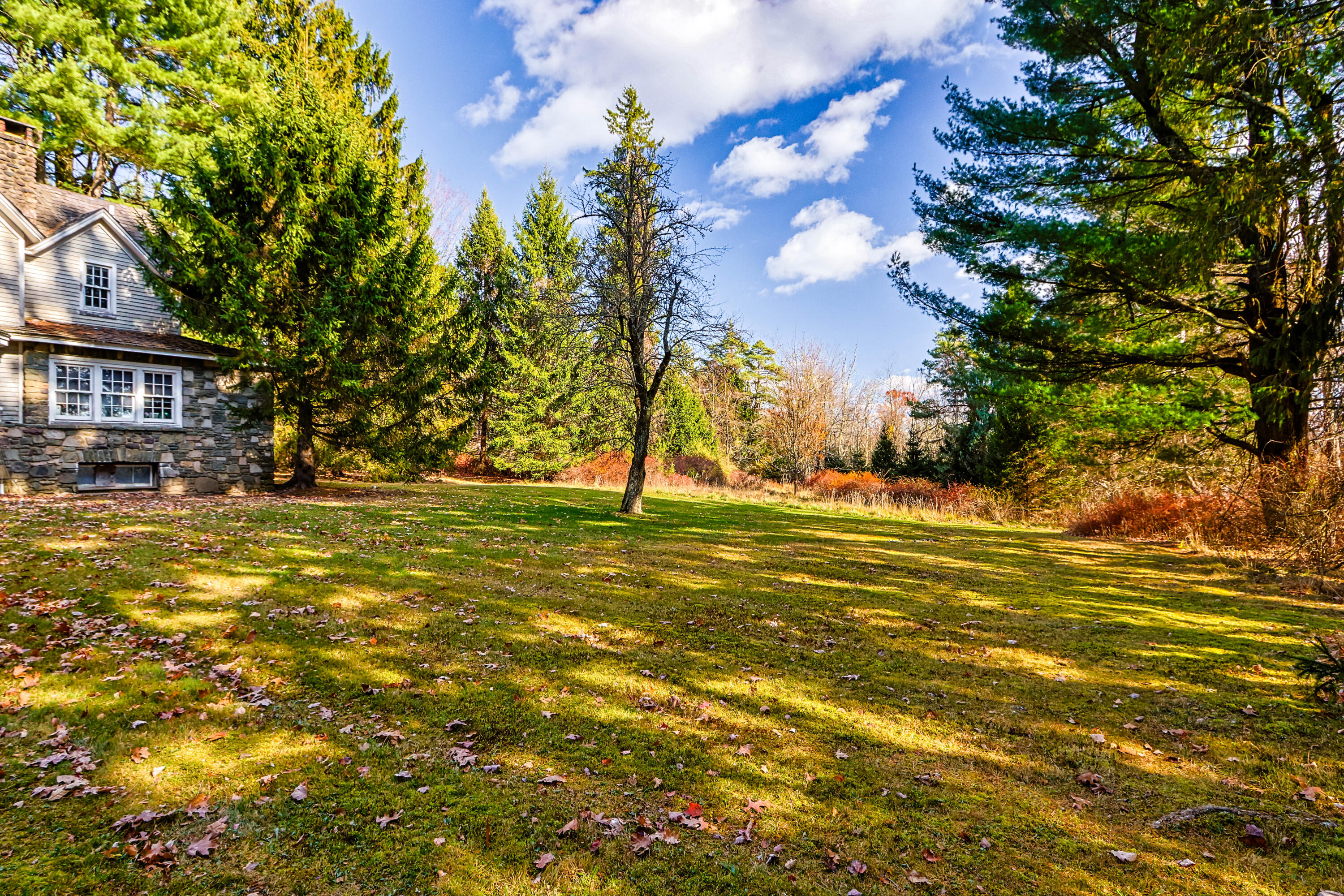 2872 Route 390-skytop Property Photo 5