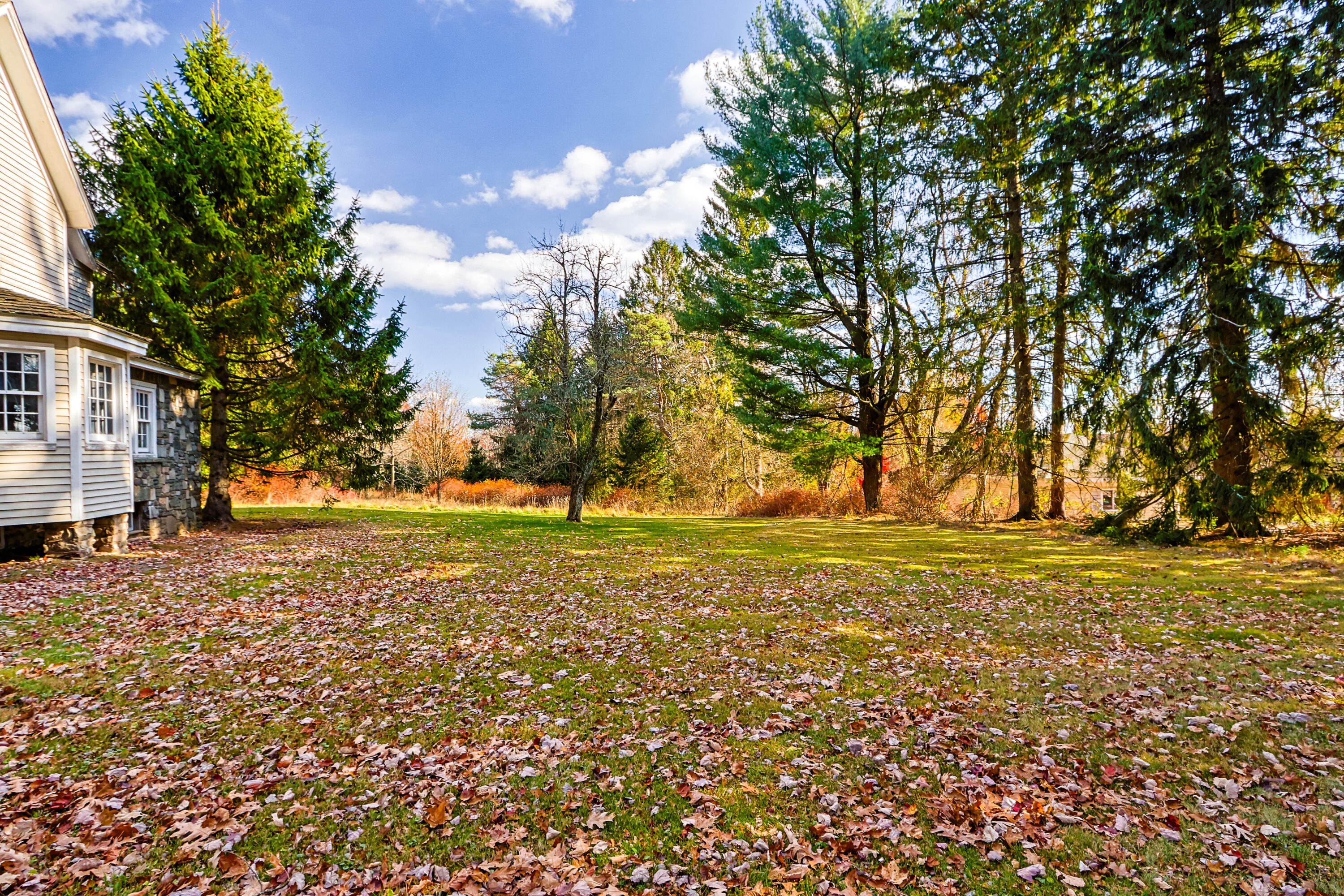 2872 Route 390-skytop Property Photo 6