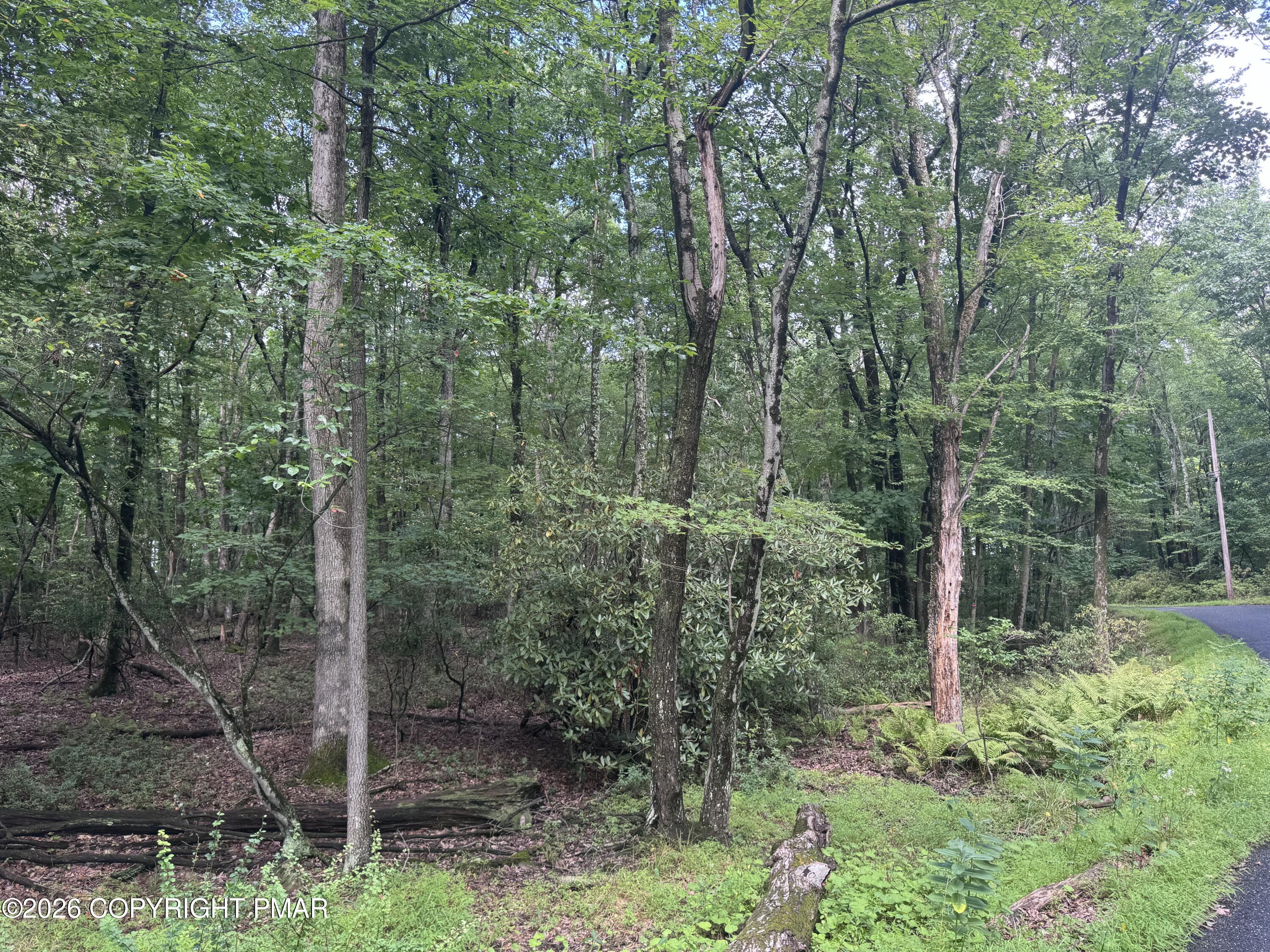 3 Tioga Dr. Property Photo 2